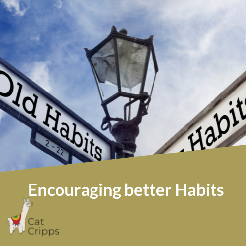 Encourage better habits