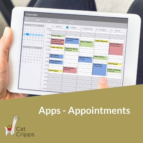 calendar appointment apps software for business