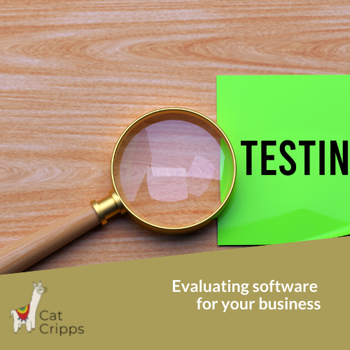 evaluating software for your small business