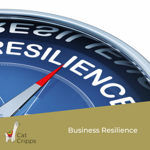 business resilience