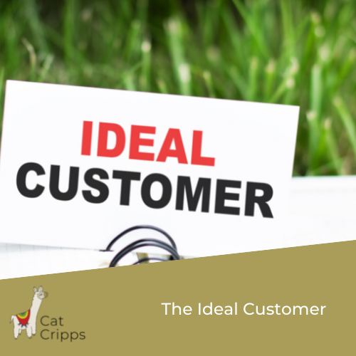 ideal customer ideal client persona