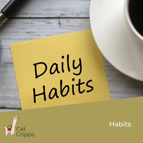 daily habits