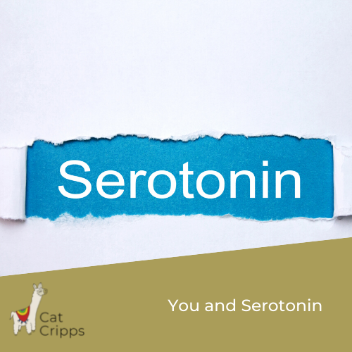 you and serotonin