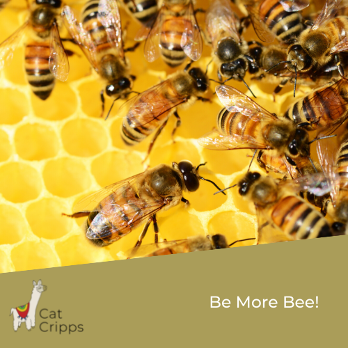 be more successful - be more bee